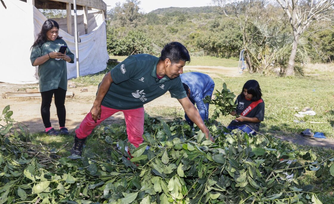 No Dia do Gaúcho, aldeia Guarani em Porto Alegre celebra Carijo inédito e reafirma a origem do chimarrão