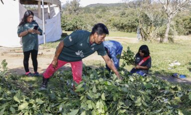 No Dia do Gaúcho, aldeia Guarani em Porto Alegre celebra Carijo inédito e reafirma a origem do chimarrão