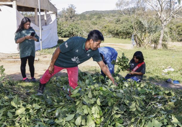 No Dia do Gaúcho, aldeia Guarani em Porto Alegre celebra Carijo inédito e reafirma a origem do chimarrão