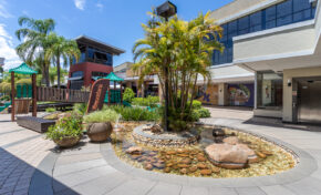 Paseo Zona Sul comemora 15 anos com programação especial em setembro