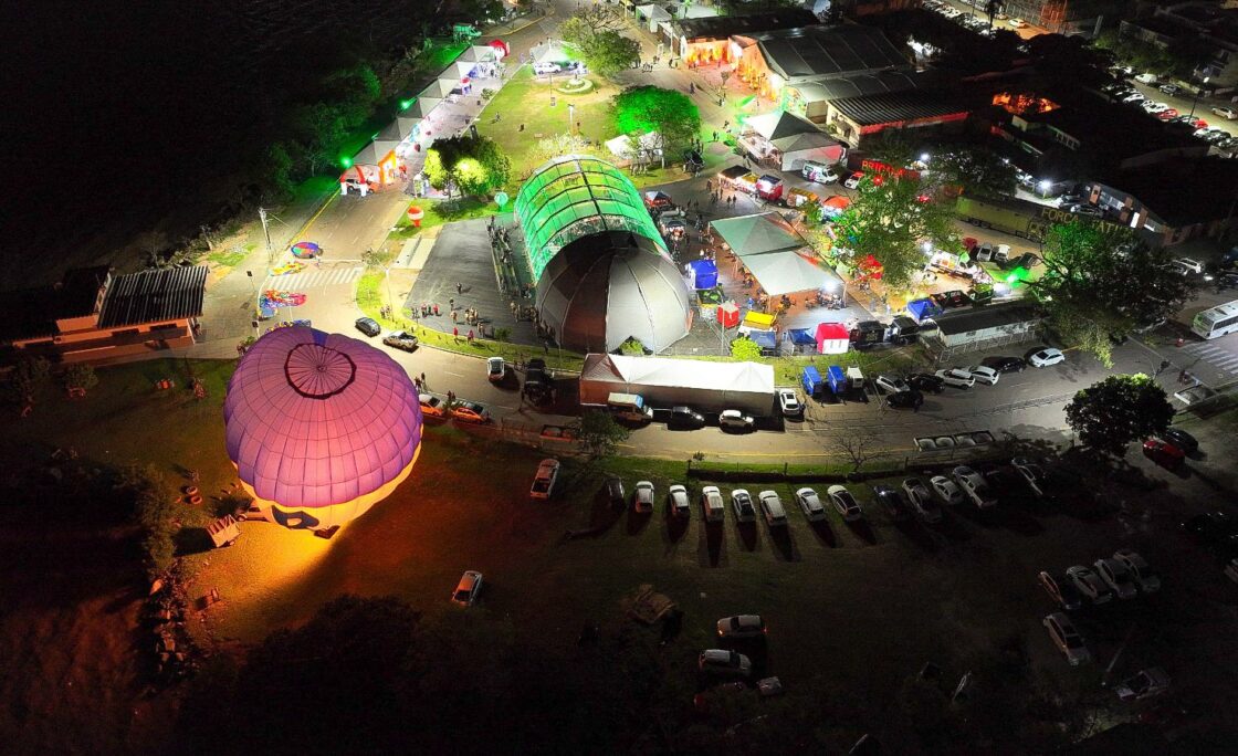 Olifeira impulsiona o desenvolvimento econômico através da olivicultura