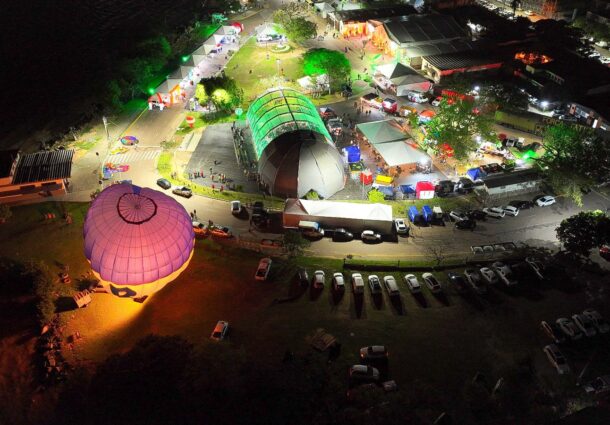 Olifeira impulsiona o desenvolvimento econômico através da olivicultura