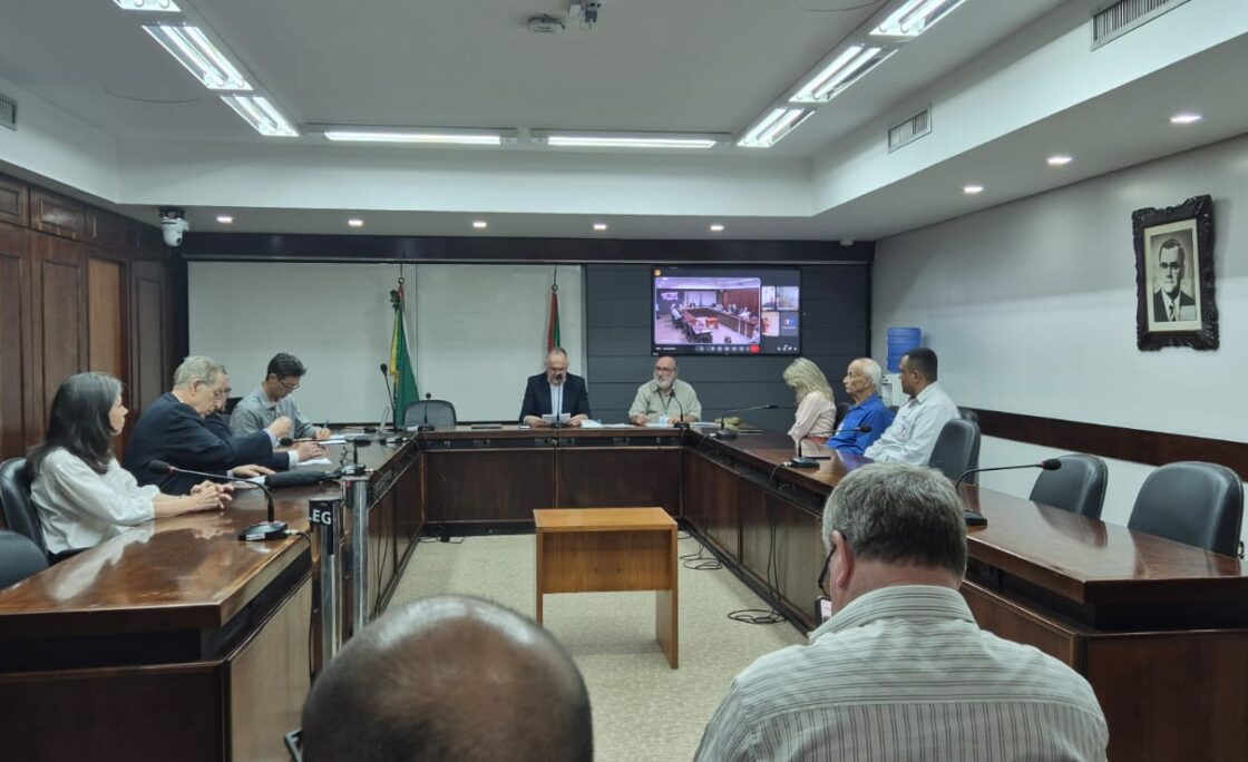 FILPI-RS elege primeira diretoria e consolida estrutura de representação das ILPIs no Rio Grande do Sul