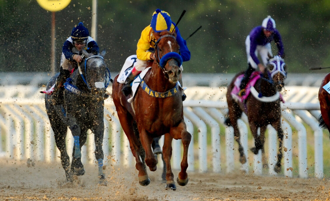 Grande Prêmio Bento Gonçalves reúne tradição, cultura e gastronomia em um fim de semana único no Jockey Club do Rio Grande do Sul