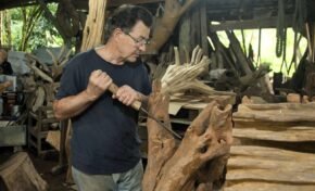 Exposição individual de Itelvino Jahn apresenta 30 obras em Porto Alegre​