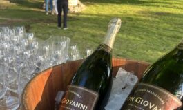 Vinícola Don Giovanni é premiada em 2025 na Itália e lança rótulo especial no final de ano