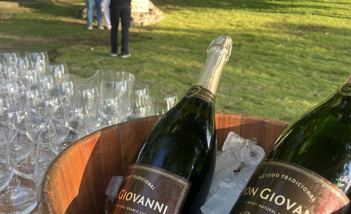 Vinícola Don Giovanni é premiada em 2025 na Itália e lança rótulo especial no final de ano