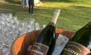 Vinícola Don Giovanni é premiada em 2025 na Itália e lança rótulo especial no final de ano