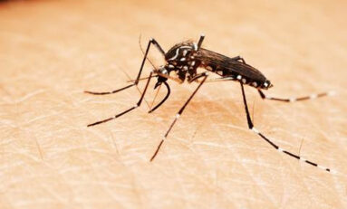 Com 52 óbitos, RS ultrapassa os 42 mil casos confirmados de dengue em 2025; especialista alerta para os cuidados no verão