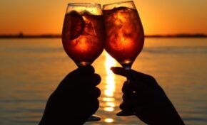 Primeira Edição da Festa Disco Club Zona Sul é Minha Praia