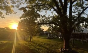 Feriadão de carnaval na Vinícola Don Giovanni