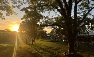 Feriadão de carnaval na Vinícola Don Giovanni