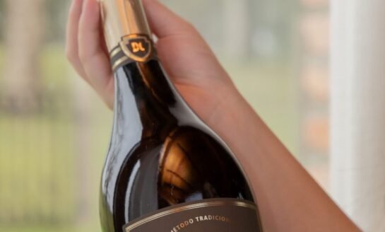 Don Giovanni conquista o pódio e é consagrada como melhor espumante do ano no prestigiado Brazil 2026 Special Report com o rótulo Ouro Extra Brut