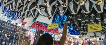 Preços de itens de Páscoa e Sexta-feira Santa variam até 1.000% em Porto Alegre