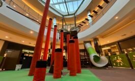 Escalada, arvorismo e outros desafios interativos na zona sul de Porto Alegre