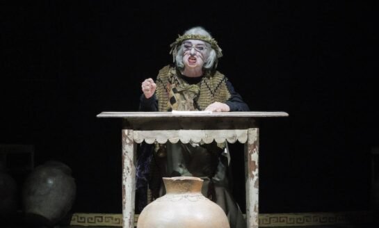 Multipalco Eva Sopher terá mais de 45 atrações com ingressos gratuitos ou a preços populares